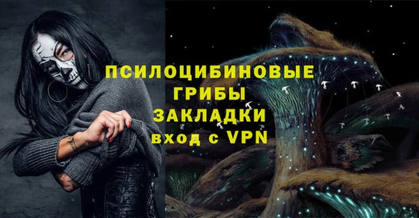 спайс Надым