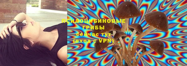 ALPHA PVP Богданович