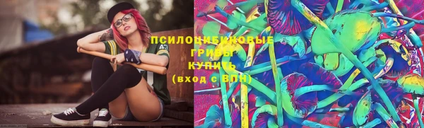 крисы Навашино
