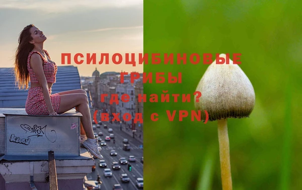 крисы Навашино
