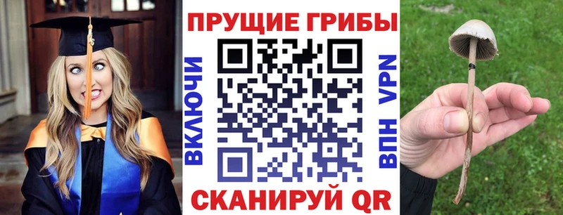 наркошоп  Бор  Псилоцибиновые грибы Magic Shrooms 