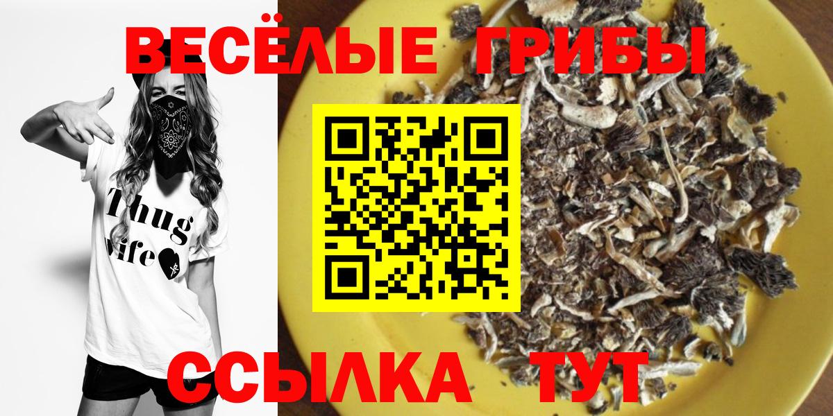 Псилоцибиновые грибы ЛСД Бор