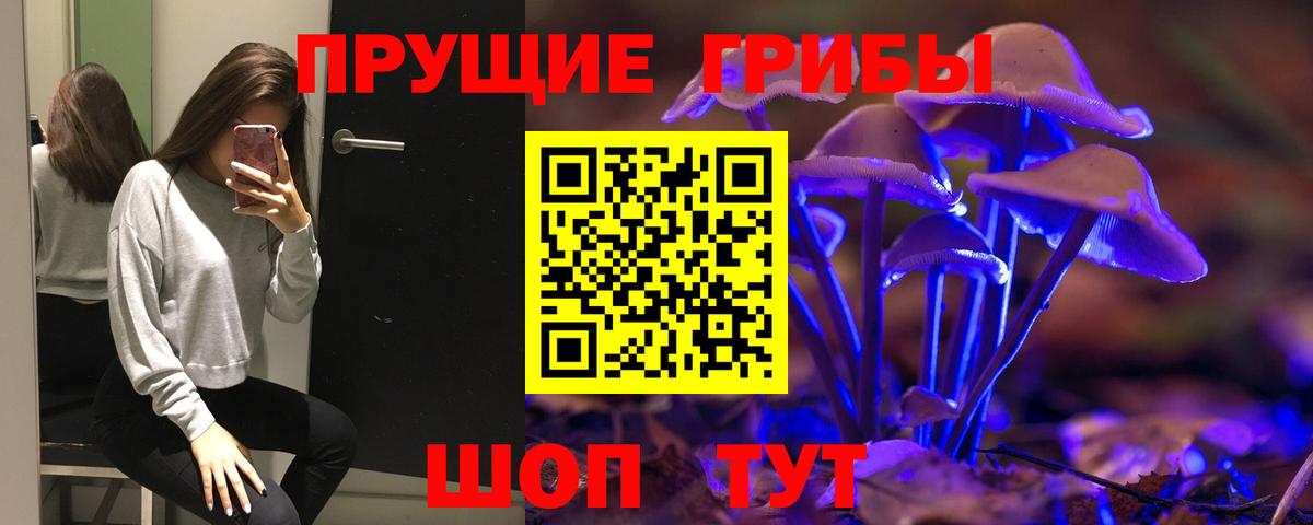 Галлюциногенные грибы мицелий  Псилоцибиновые грибы Cubensis  Бор 