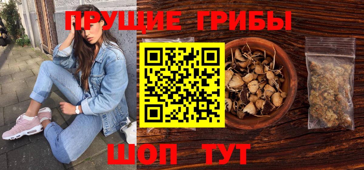 Бор  Псилоцибиновые грибы мухоморы  Вход с VPN  Галлюциногенные грибы прущие грибы 